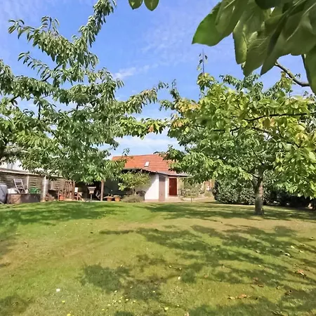 Ferienhaus Waren Mueritz Ferienhaus *